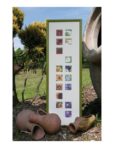 MWi - brochure - Blumenbeet    
