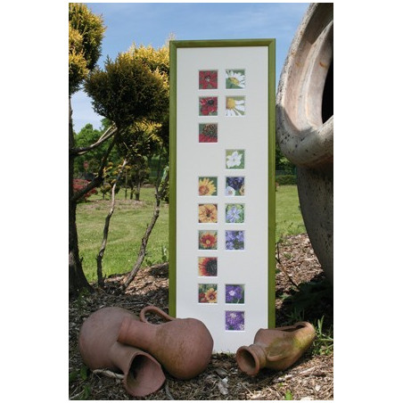 MWi - brochure - Blumenbeet    