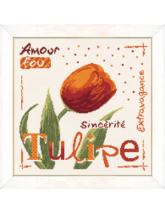 Lili Points - La Tulipe