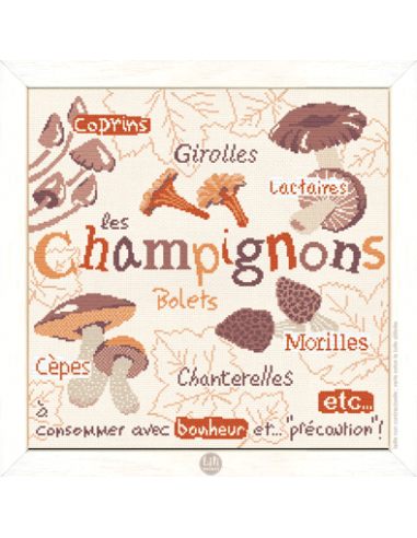 Lili Points - Les Champignons