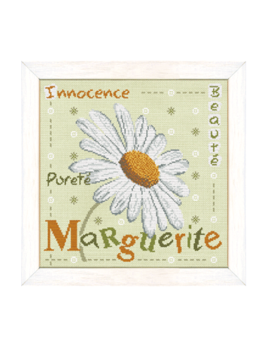 Lili Points - La Marguerite