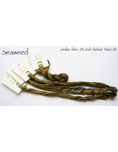 Fil Nina's Threads - coton mouliné - Seaweed