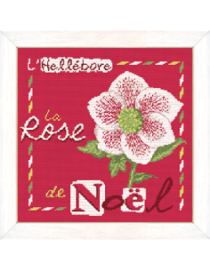 Lili Points - La Rose de Noël