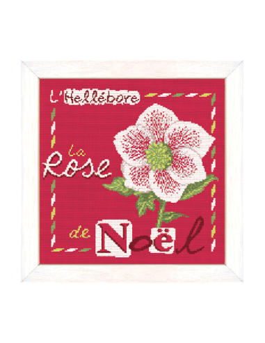 Lili Points - La Rose de Noël