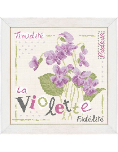 Lili Points - La Violette