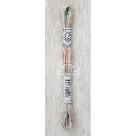 Fil DMC COLORIS - 4501 col. Fleurs des champs