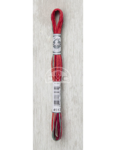 Fil DMC COLORIS - 4517 col. Lutins