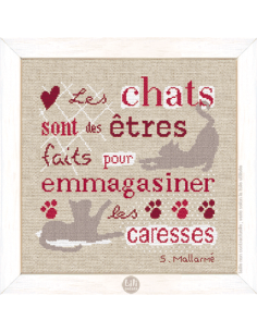 Lili Points - Les chats sont des êtres...