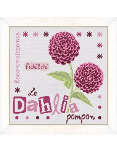 Lili Points - Le Dahlia Pompon