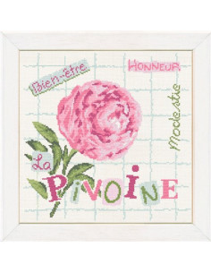 Lili Points - Fiche - La Pivoine
