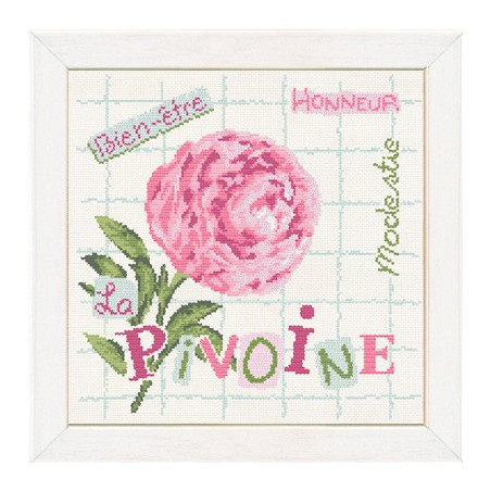 Lili Points - Fiche - La Pivoine