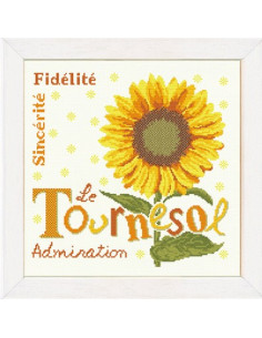 Lili Points - Fiche - Le Tournesol