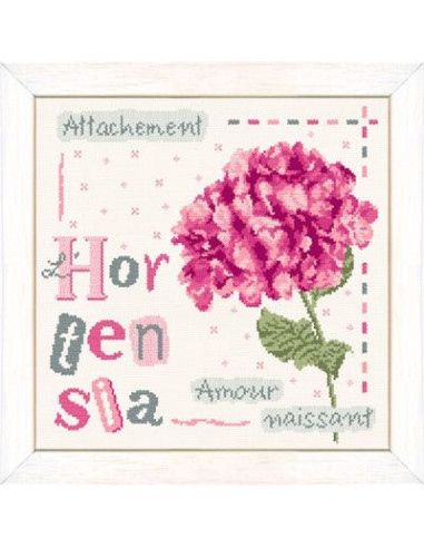 Lili Points - Fiche - L’hortensia
