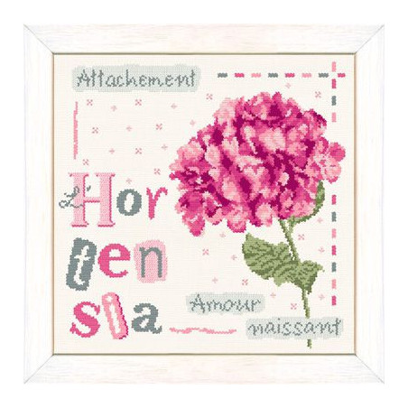 Lili Points - Fiche - L’hortensia