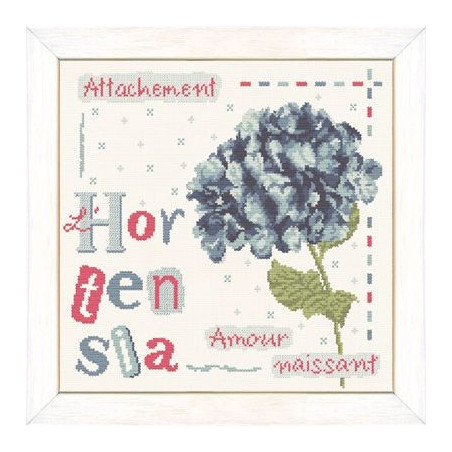 Lili Points - Fiche - L’hortensia