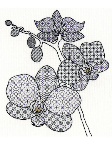 Kit de Blackwork - Orchid de Bothy Threads