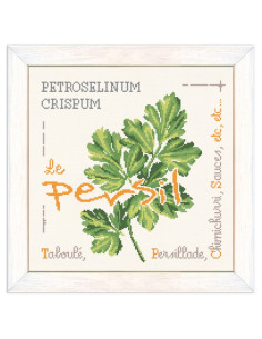 Lili Points - Fiche point de croix compté - Le Persil