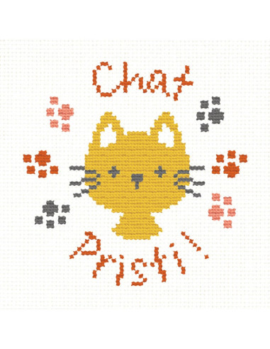 Lili Points - Mini-kit point de croix débutant - Chat Pristi