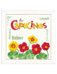 Lili Points - Fiche point de croix compté - Les capucines