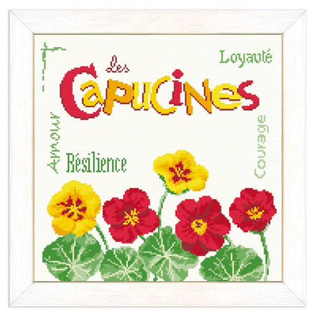 Lili Points - Fiche point de croix compté - Les capucines