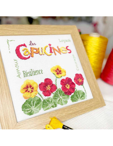 Lili Points - Fiche point de croix compté - Les capucines