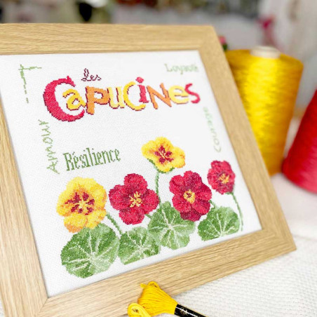 Lili Points - Fiche point de croix compté - Les capucines