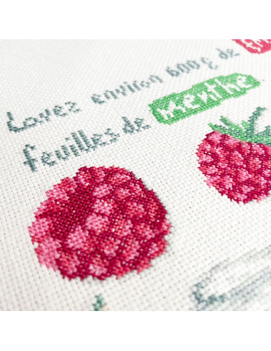Lili Points - Fiche point de croix compté - Smoothie