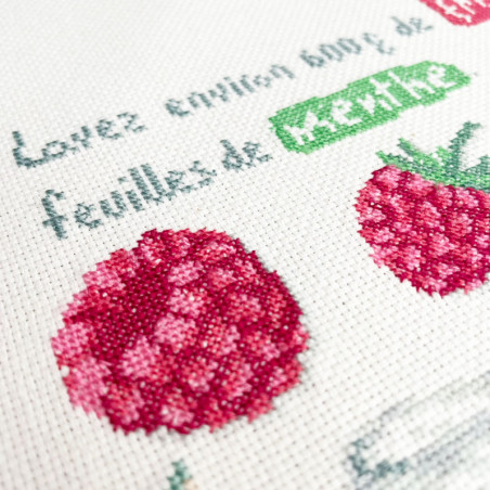 Lili Points - Fiche point de croix compté - Smoothie