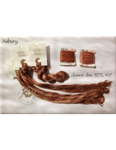 Fil Nina's Threads - coton mouliné - Asbury