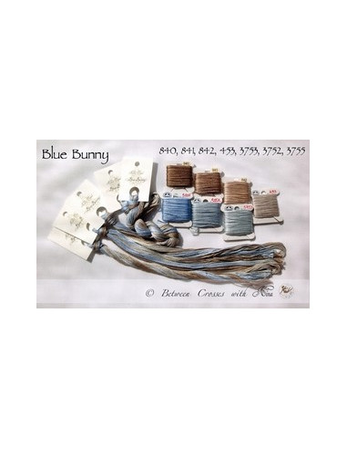 Fil Nina's Threads - coton mouliné - Blue Bunny
