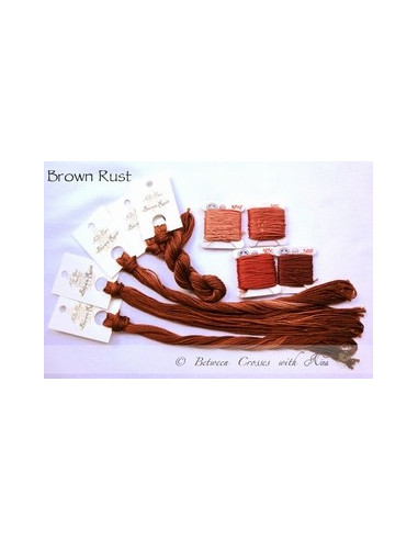 Fil Nina's Threads - coton mouliné - Brown Rust