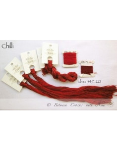 Fil Nina's Threads - coton mouliné - Chilli