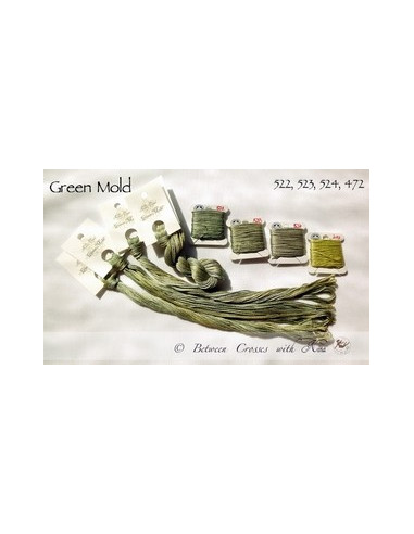 Fil Nina's Threads - coton mouliné - Green Mold