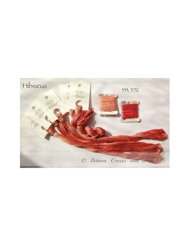 Fil Nina's Threads - coton mouliné - Hibiscus