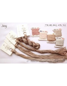 Fil Nina's Threads - coton mouliné - Joy