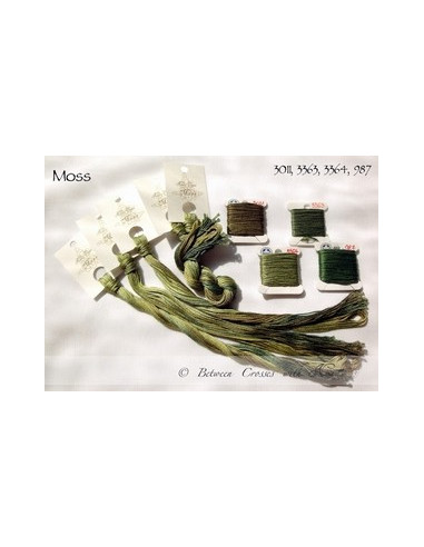 Fil Nina's Threads - coton mouliné - Moss