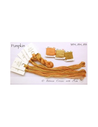 Fil Nina's Threads - coton mouliné - Pumpkin