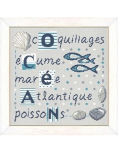 Lili Points - Coquillages