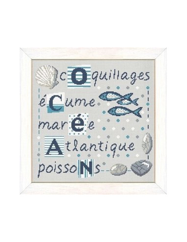 Lili Points - Coquillages
