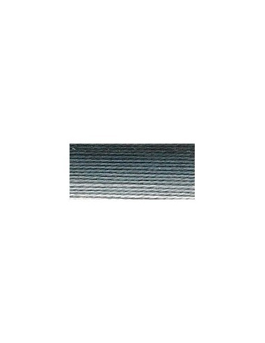 DMC - 53 col. Noctune