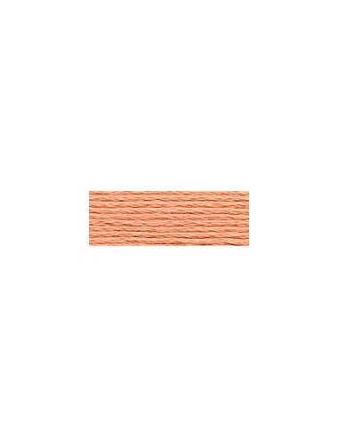 DMC - 402 col. Poterie