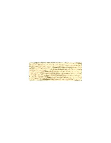DMC - 677 col. Sable