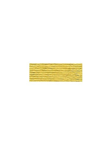 DMC - 734 col. Olive cassée