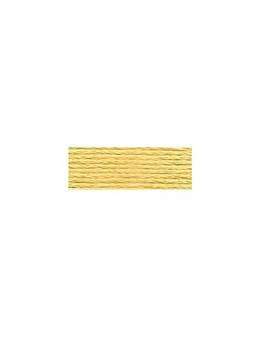 DMC - 834 col. Tisane verte