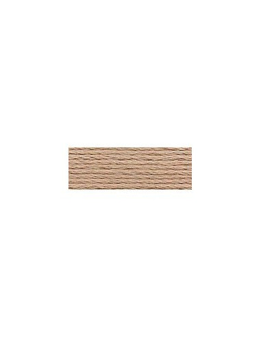 DMC - 841 col. Daim