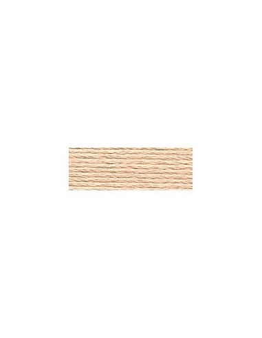 DMC - 950 col. Beige foncé