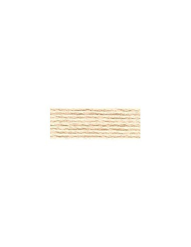DMC - 951 col. Beige cachemire