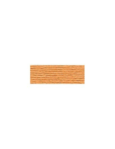 DMC - 977 col. Caramel