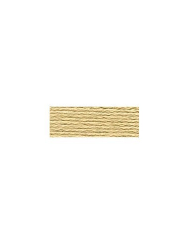 DMC - 3046 col. Seigle