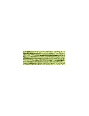 DMC - 3364 col. Vert sauge